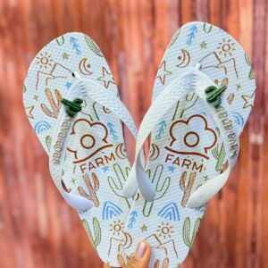 Chinelo Farm cactos