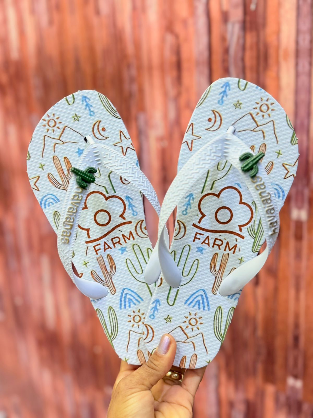 Chinelo Farm cactos